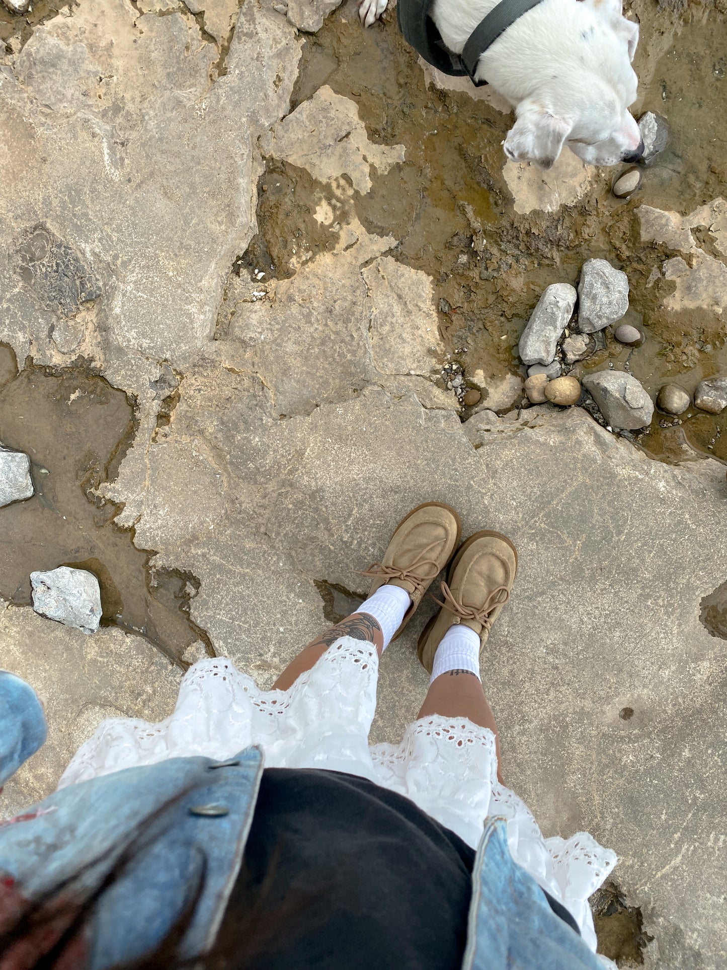 Vintage Suede Mudd Wallabees