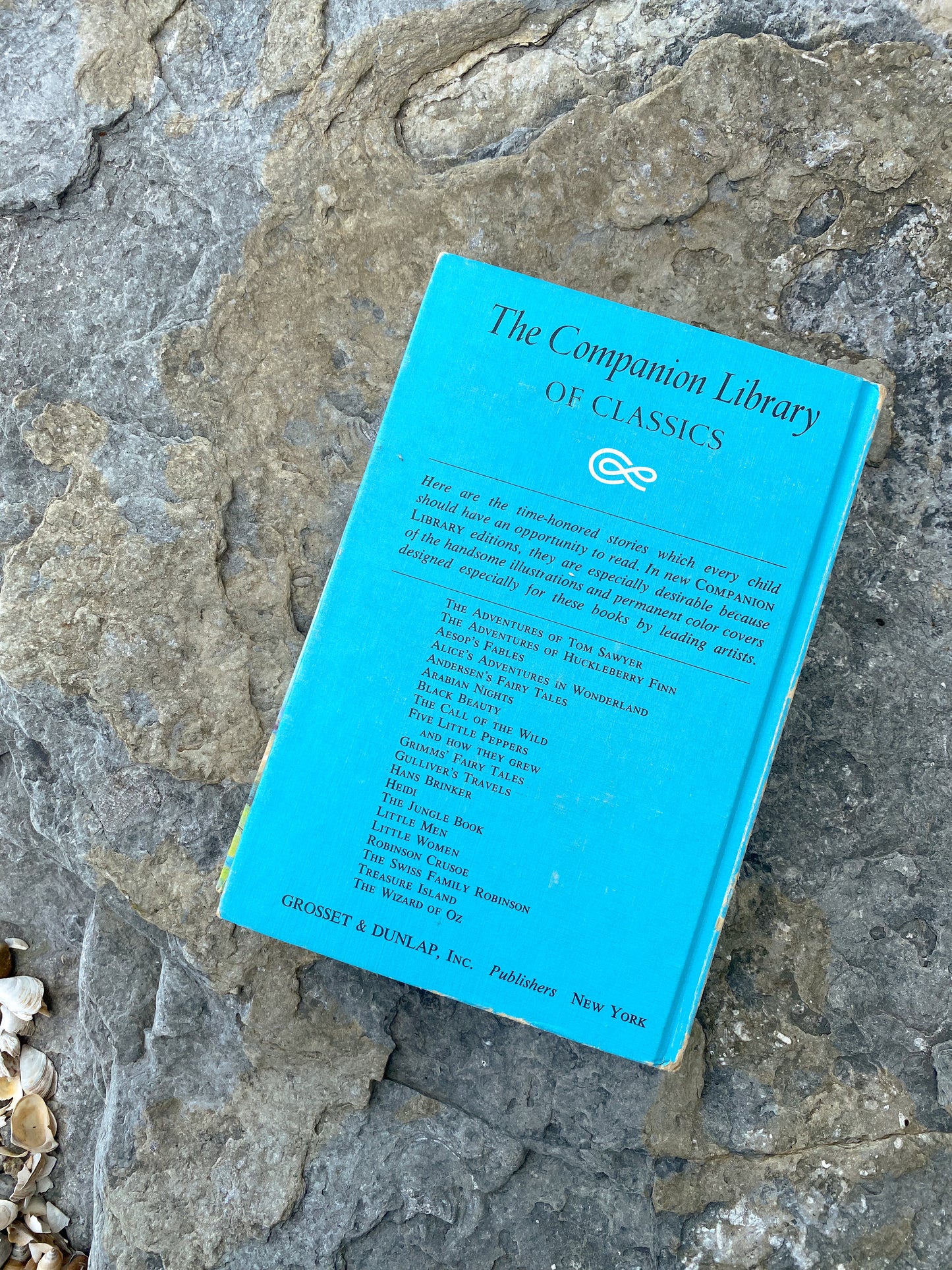 Vintage Black Beauty Hardback