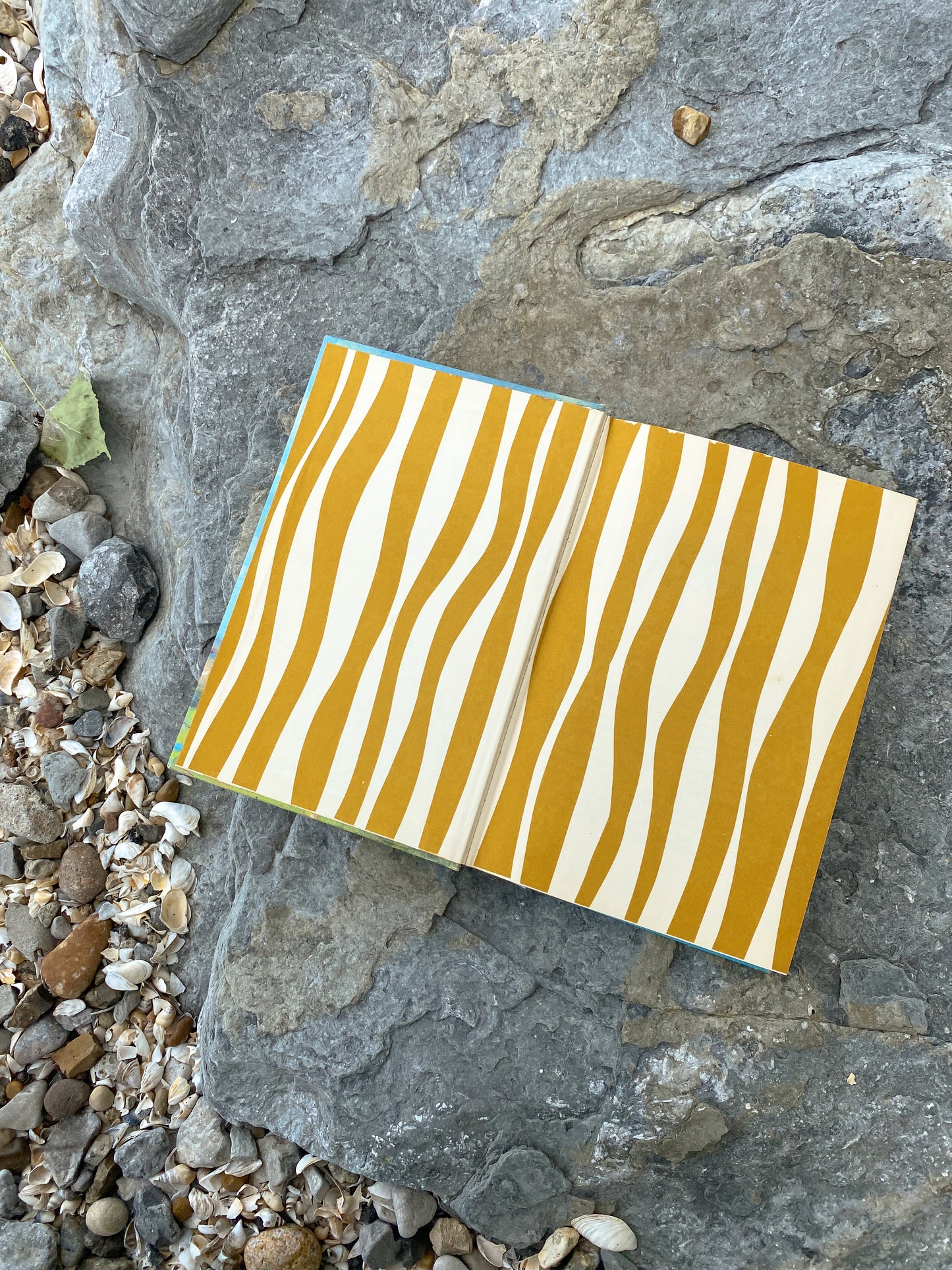 Vintage Black Beauty Hardback