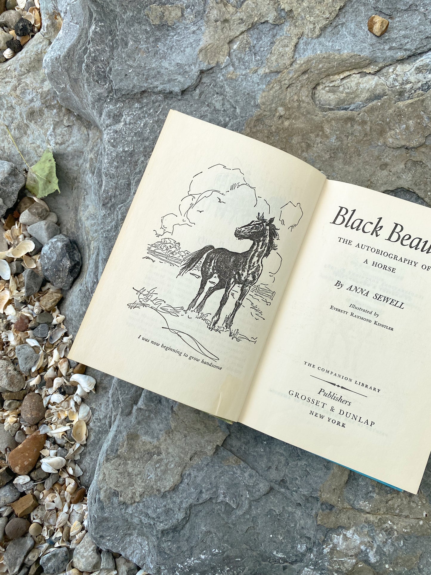 Vintage Black Beauty Hardback