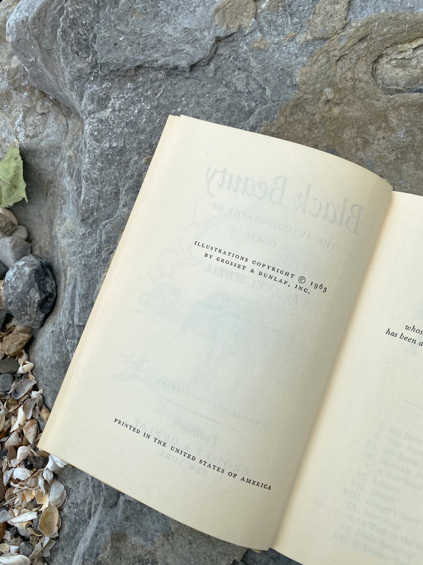 Vintage Black Beauty Hardback