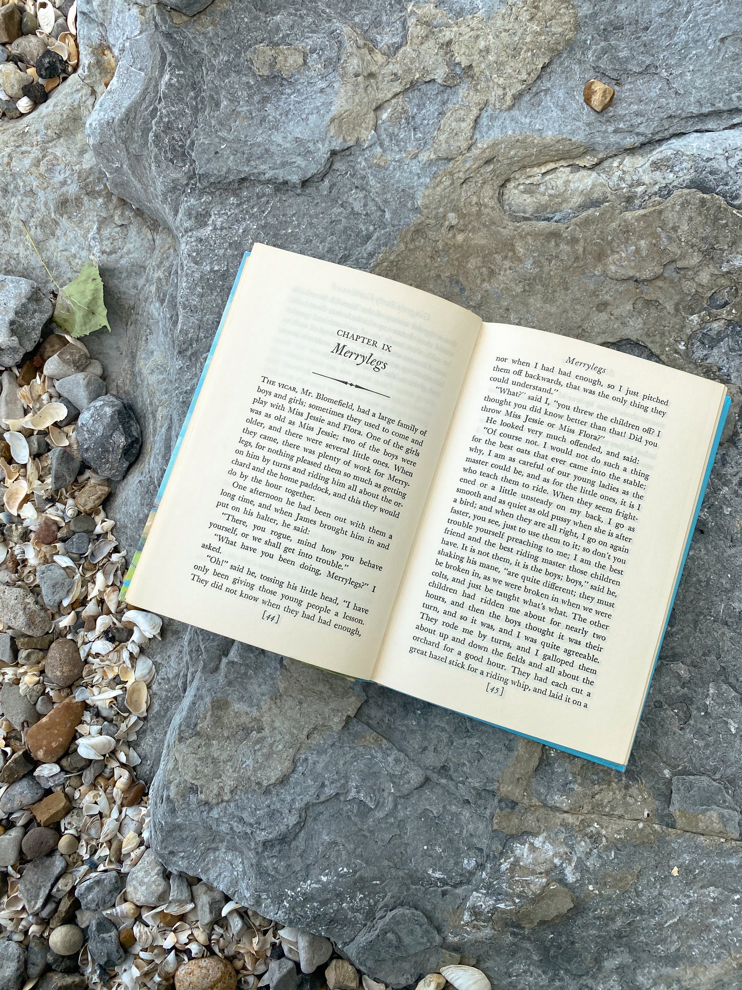 Vintage Black Beauty Hardback