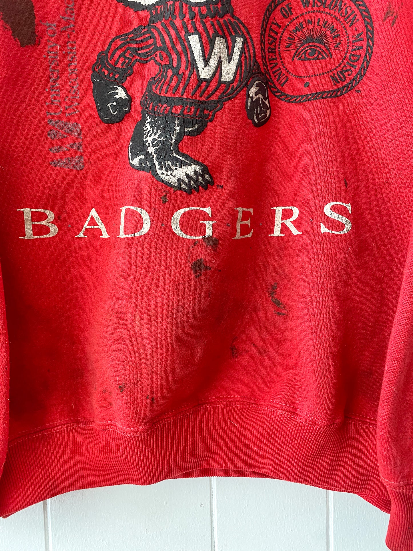 L/XL Vintage Wisconsin Badgers Crewneck (Stained)