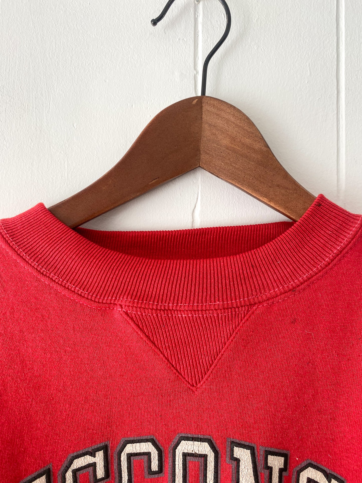 L/XL Vintage Wisconsin Badgers Crewneck (Stained)