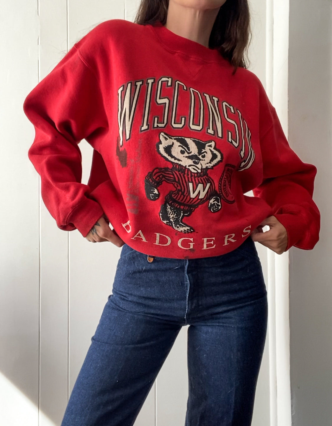 L/XL Vintage Wisconsin Badgers Crewneck (Stained)