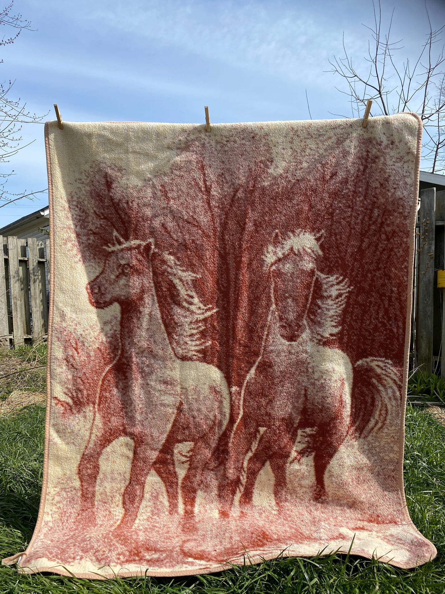 (S/M) Upcycled Horse Blanket Coat