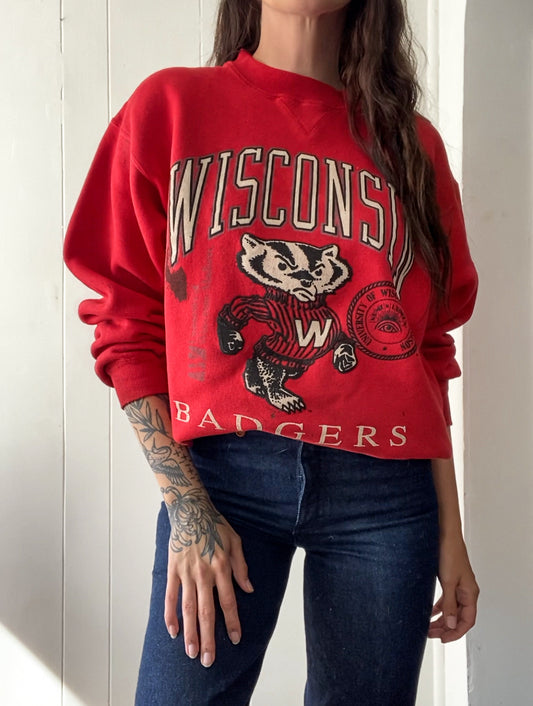 L/XL Vintage Wisconsin Badgers Crewneck (Stained)